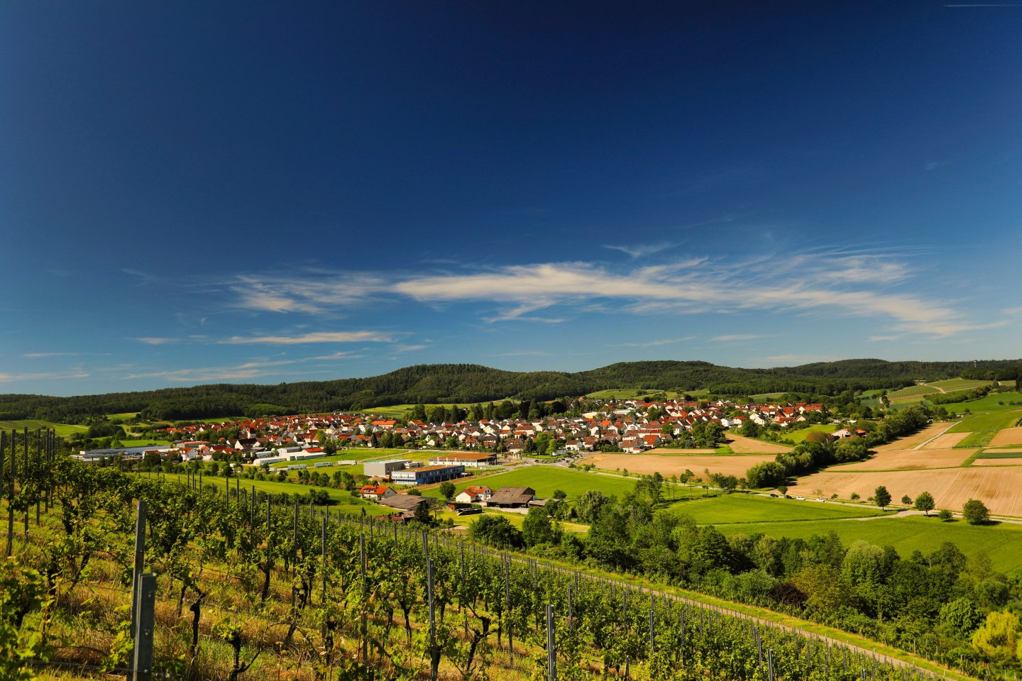 Panoramablick über die Gemeinde Lehrensteinsfeld