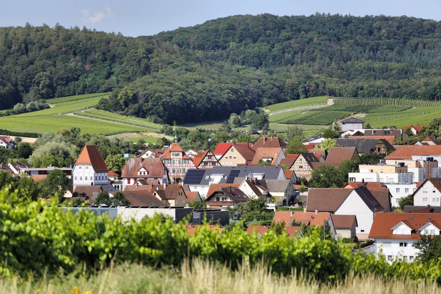 Panoramablick über die Gemeinde Lehrensteinsfeld mit Blick auf das Rathaus und den Wehrturm