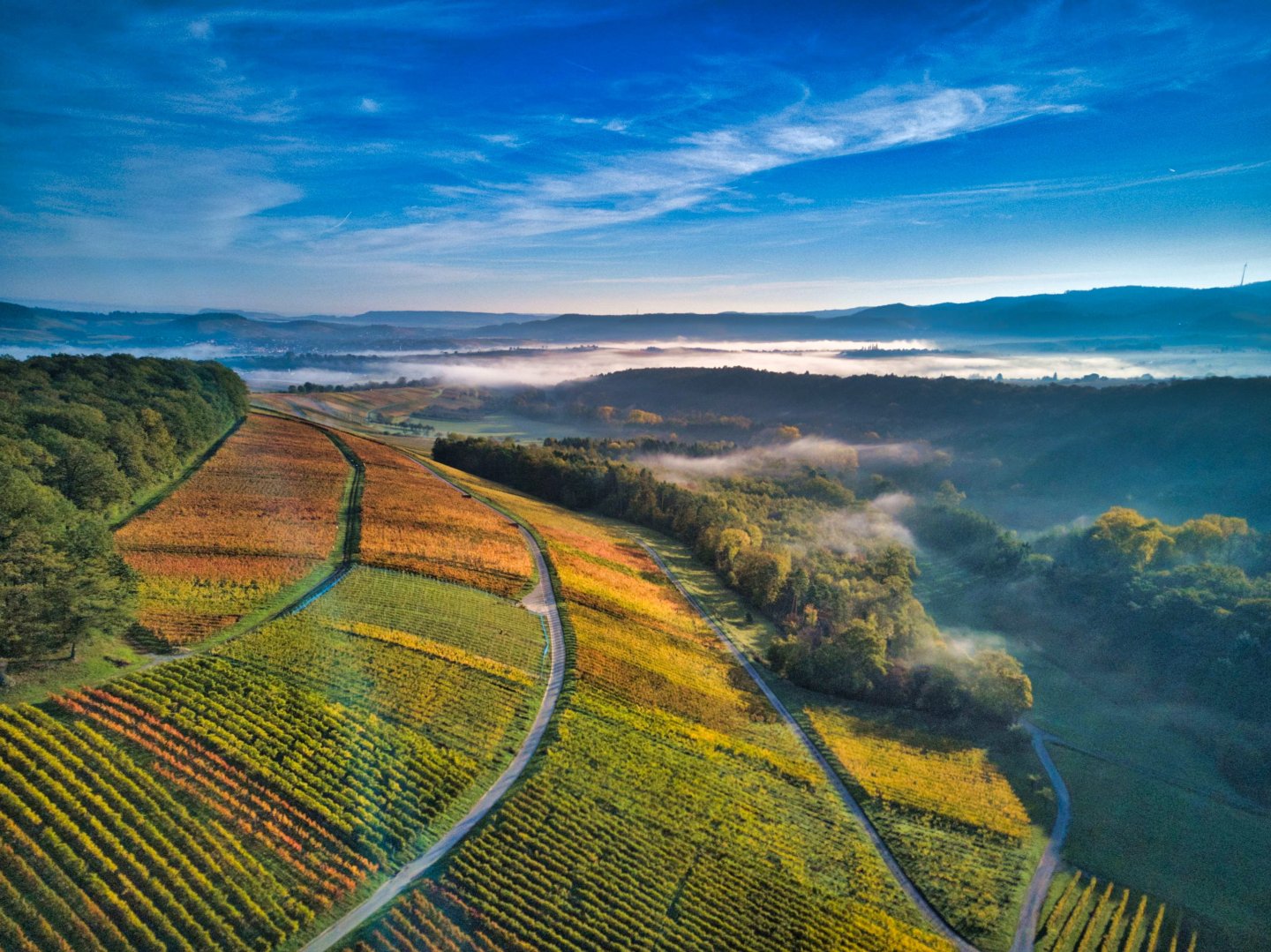 Panoramablick über die bunt gefärbten Weinberge im Herbst mit vereinzelten Nebelschwaden